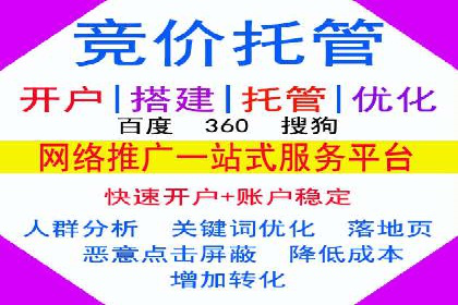 某电商平台信息流竞价策略及成效分析