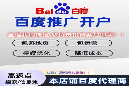 百度推广费用投入与品牌故事传播的案例分析